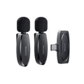 Double Wireless Microphone KR13
