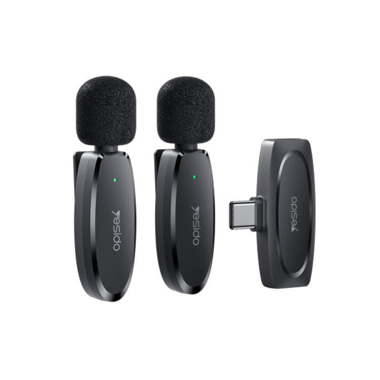 Double Wireless Microphone KR13