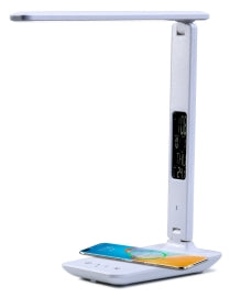 10W wireless charger DS20