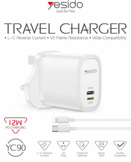 C/L 12W Home charger -UK YC90